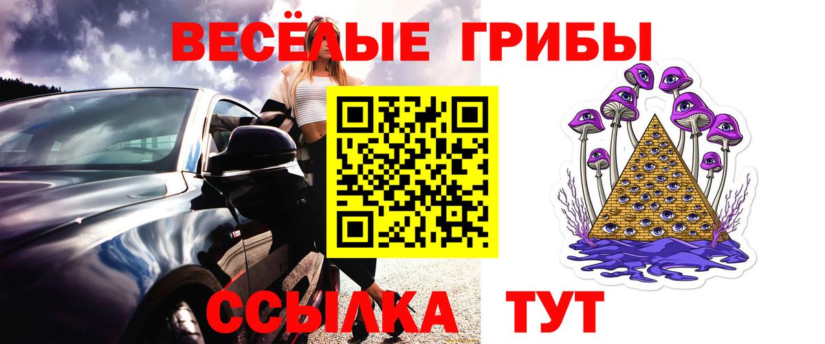 Юрга  Псилоцибиновые грибы ЛСД  Вход с VPN 