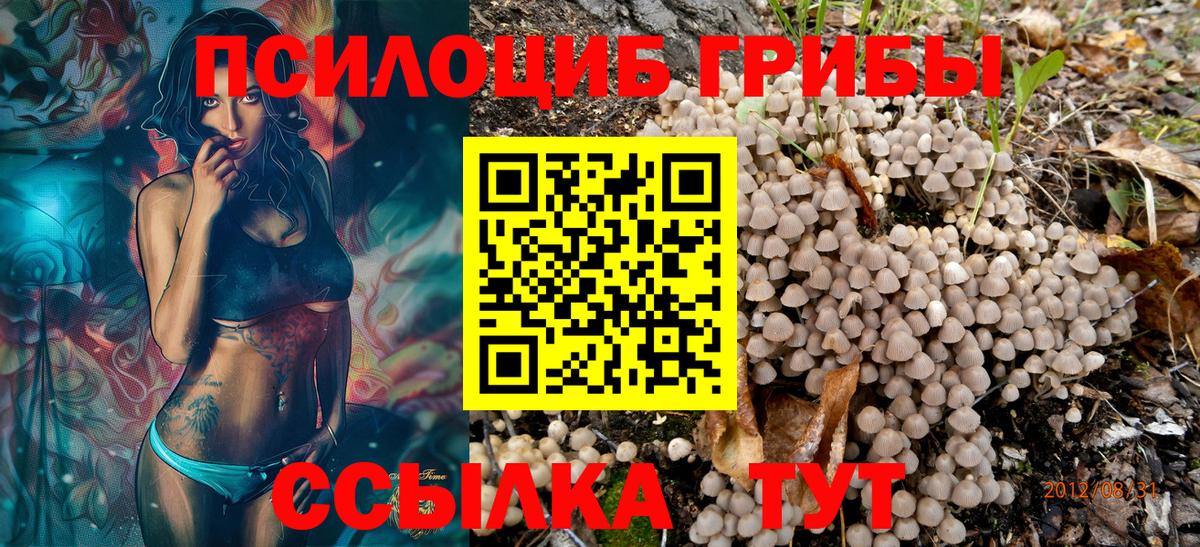 Псилоцибиновые грибы Magic Shrooms Юрга